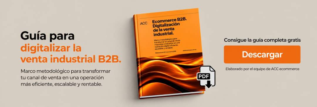 Descargar la guía practica ecommerce B2B