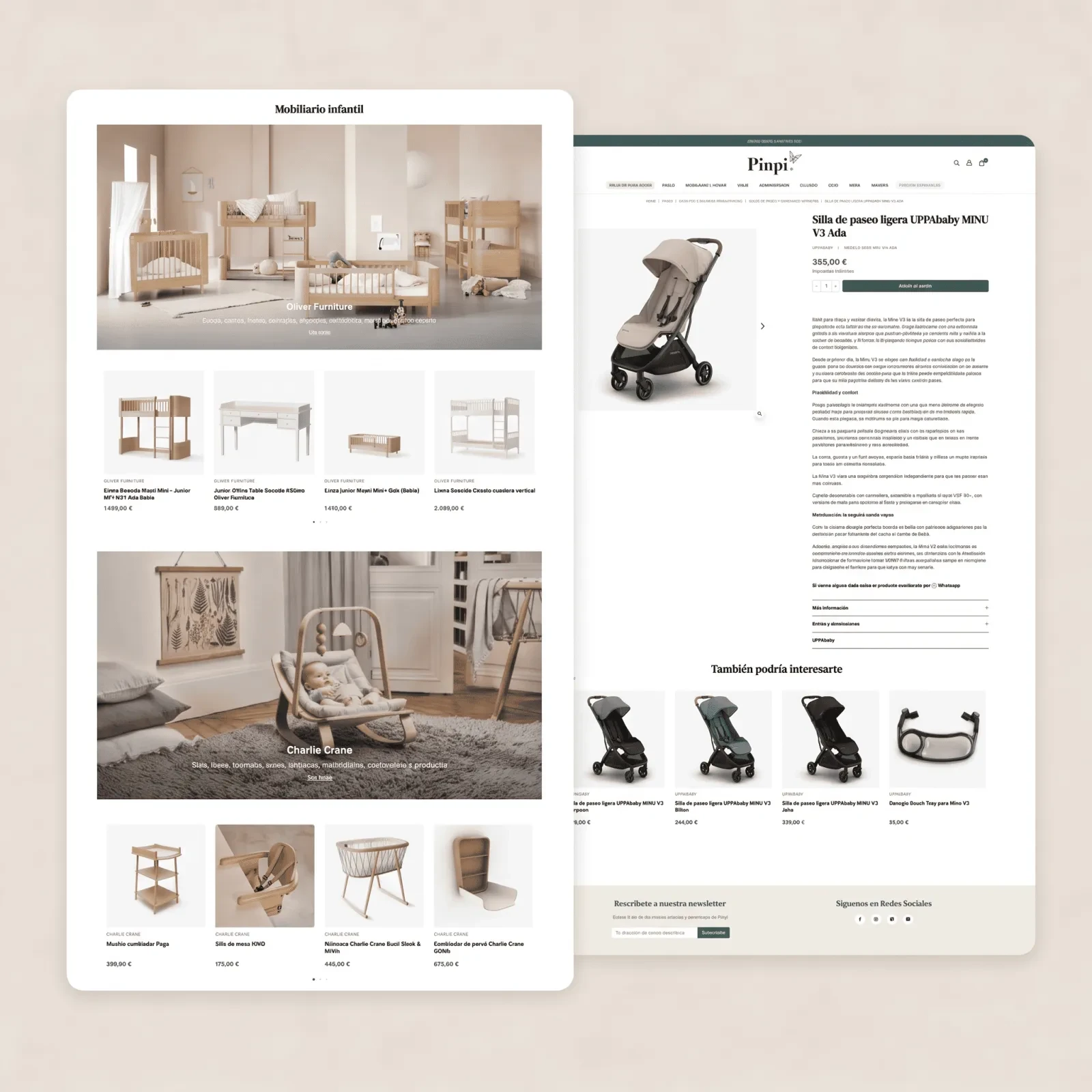 mockup home y ficha de producto Pinpi