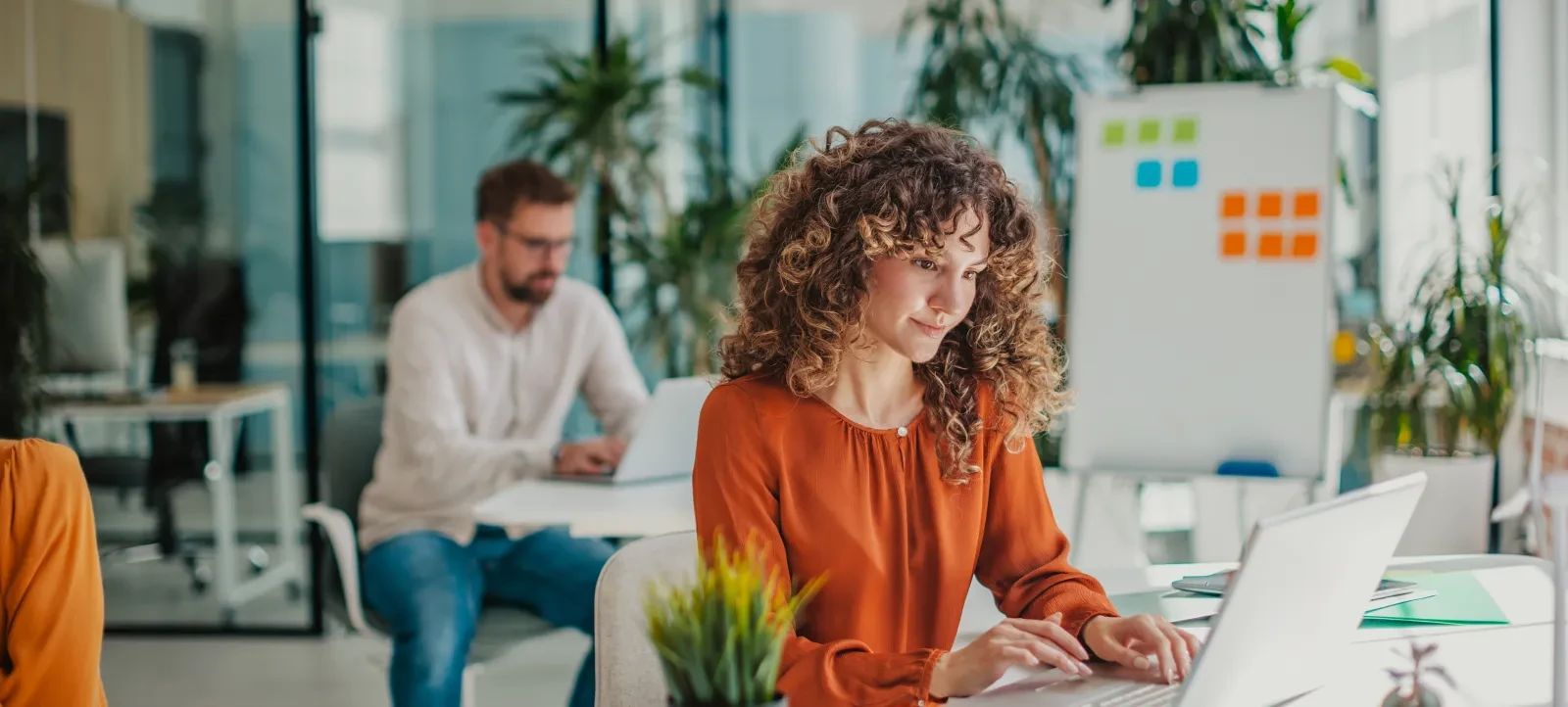 Ecommerce agentico