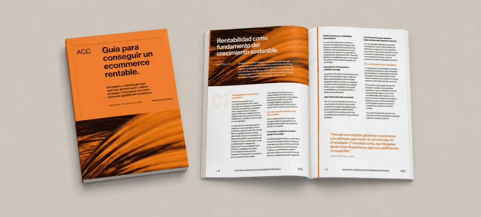 Guía para conseguir un ecommerce rentable en 2026