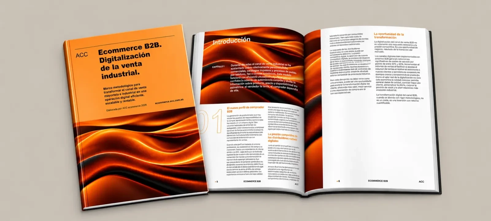 mockup del libro descargable ecommerce B2B